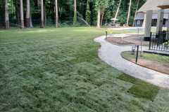 IMG-20250704-WA0006
